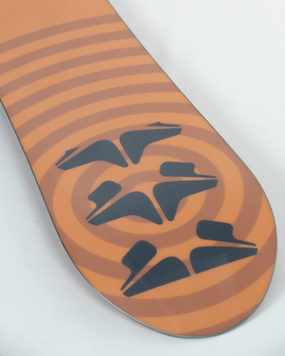 Stale Fish Snowboard 2024