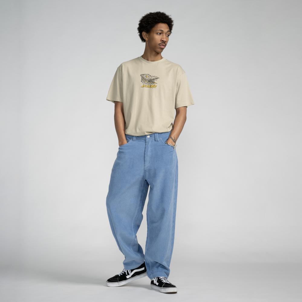 Big Skateboard Pants