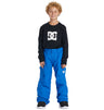 Youth Banshee Snowboard Pants 2024