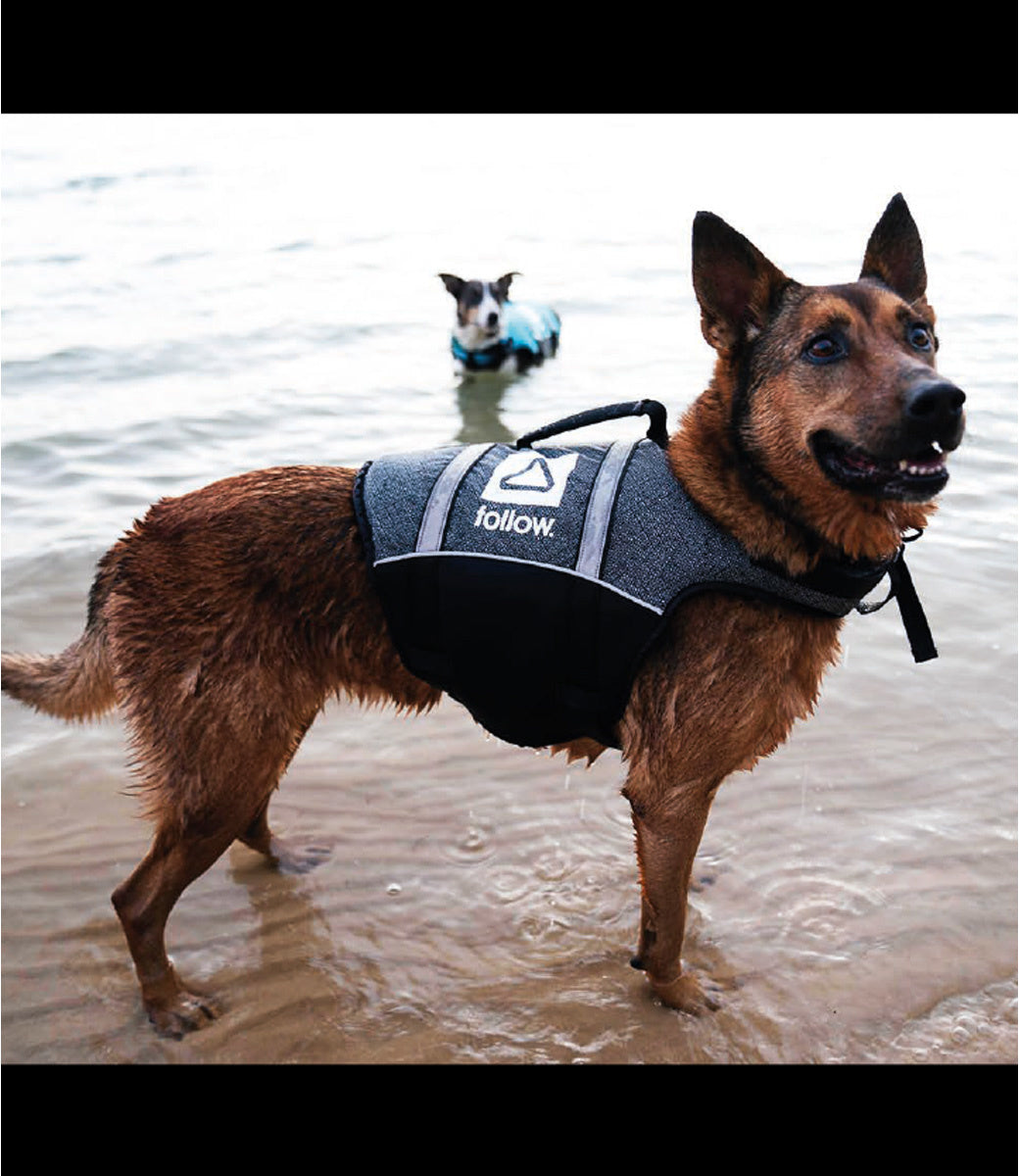 Dog Floating Aid Vest