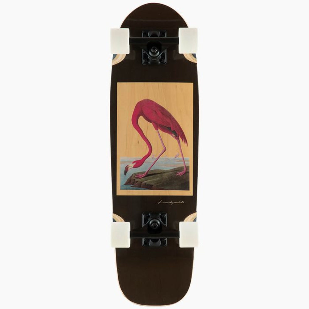 28.5" Dinghy Flamingo Cruiser Complete 2023