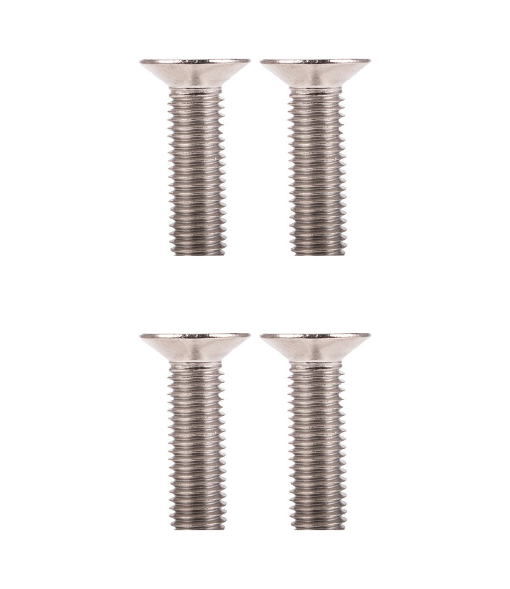 M8 x 25 MM Screws T40 (Foil)