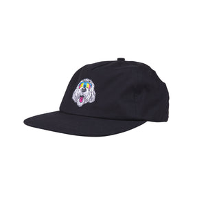 McCoy Donut Dog Cap