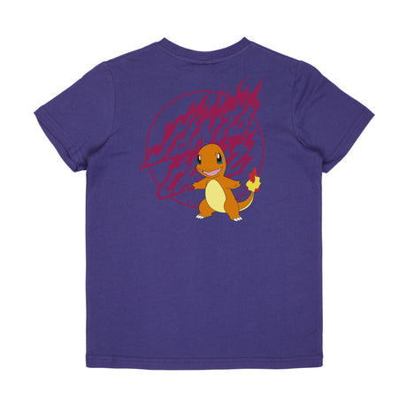 Youth Pokemon Fire Type T-Shirt