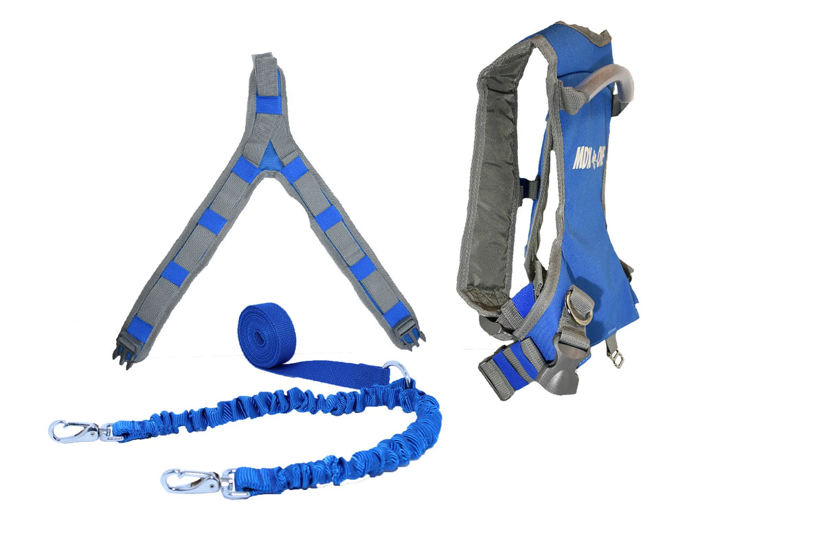 The Static Ski Harness