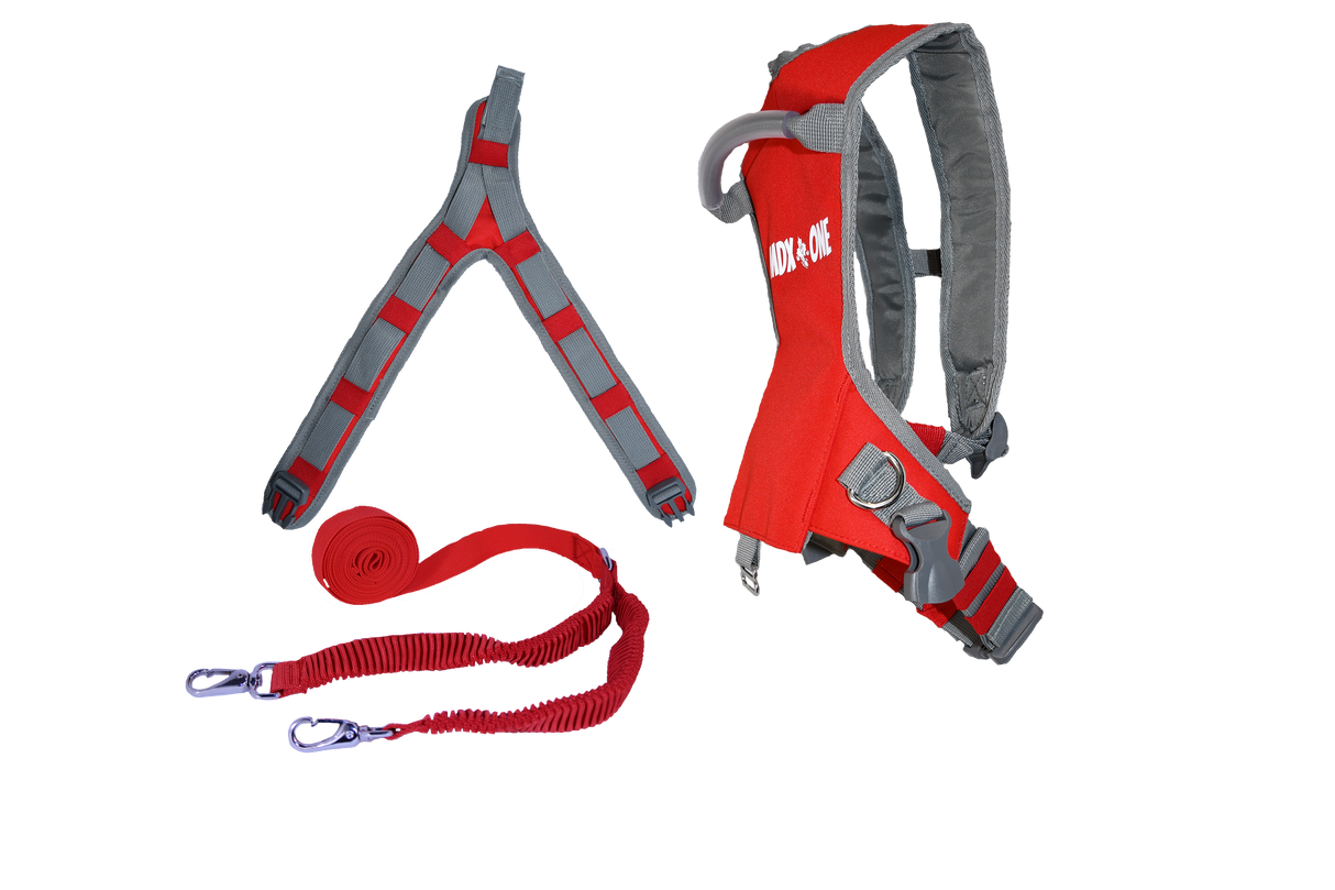 The Static Ski Harness