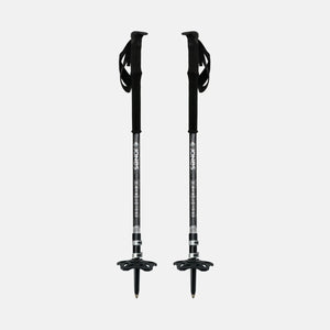 Talon PRO Splitboard Poles 2025